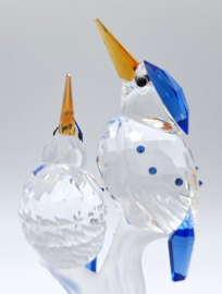IJsvogels 7621/000/010