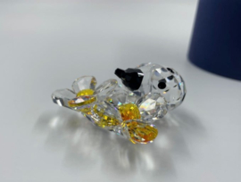 Lieveheersbeestje op bloem 9100/000/035