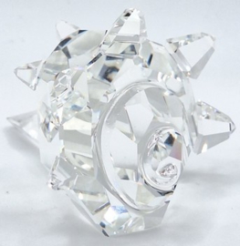 Hoornslak schelp 7624/072/000