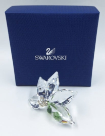 SCS 2013 orchidee 9100/000/399