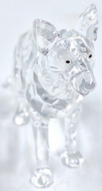 Duitse herdershond 7619/000/007