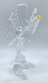 Amerikaanse zeearend 7670/000/002