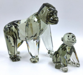 Jaarstuk 2009 - Gorilla's 9100/000/117