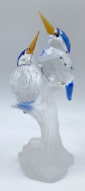 IJsvogels 7621/000/010