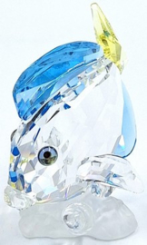 Doktersvis 9100/000/067