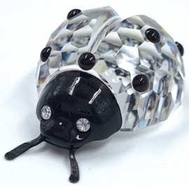 Lieveheersbeestje 7604/000/001