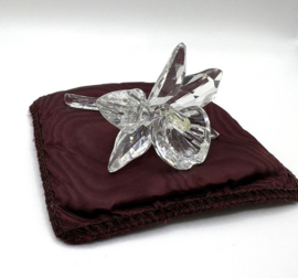 Donkergele orchidee 7478000002