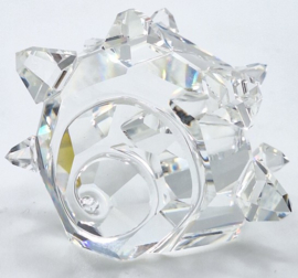 Hoornslak schelp 7624/072/000