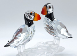 Papegaaiduikers 7621/000/008