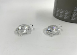 2 baby schildpadden 7632/000/002