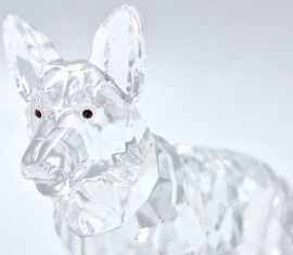 Duitse herdershond 7619/000/007