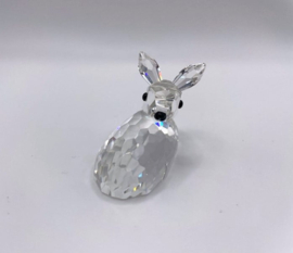 Hertenjong 7608/000/001