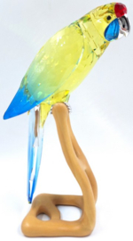 Geelbuik Rosella 9600/000/085