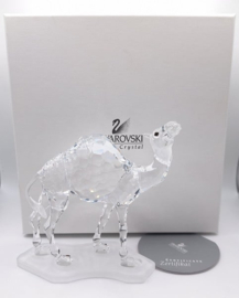 Dromedaris 7603/000/004