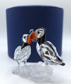 Papegaaiduikers 7621/000/008