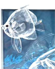 Community jaarstuk 2007 9100/000/044 + plaquette