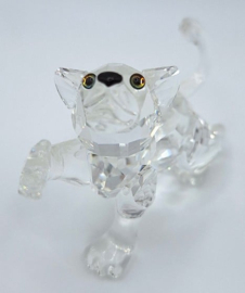 Leeuwenjong 7603/000/001