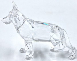 Duitse herdershond 7619/000/007