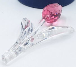 Roze Tulp 7400/200/407