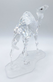 Dromedaris 7603/000/004