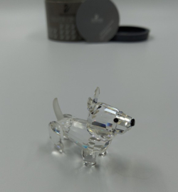 Scotch terriër 7619/000/002