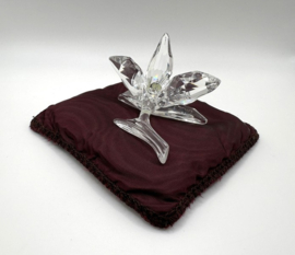 Donkergele orchidee 7478000002