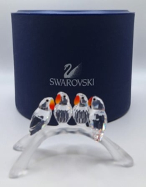 Dwergpapegaaien 7621/000/005