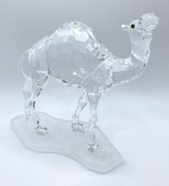 Dromedaris 7603/000/004