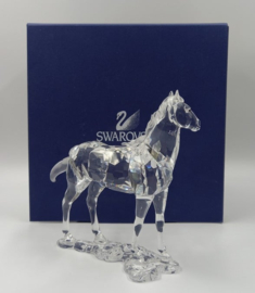 Merrie / paard 9100/000/045