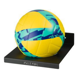 Mezo Sports Ball Holder | Volleybal