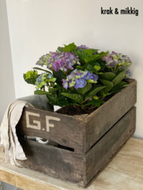Stoere oude brocante kist