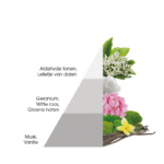 Wasparfum Horomia White 250ML