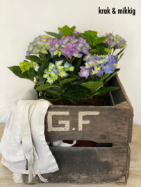 Stoere oude brocante kist