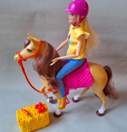 Skipper - 2018 - Barbie met paard  (van Barbie N Hugs) (FXH13)