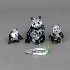 SW - Endangered Wildlife - Panda (set) (2008)