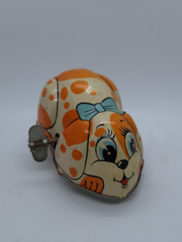 Blikken puppy