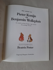 BP - NL - Het verhaal van Pieter Konijn en Benjamin Wollepluis (TVserie)