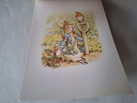 BP - Beatrix Potter 30 postcards
