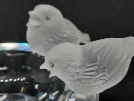 SW - Vogelbad
