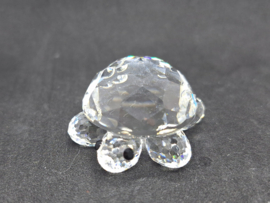 SW - Schildpad klein