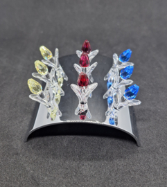 SW - Tulpen set van 9 met display