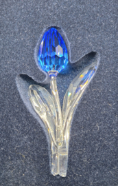 SW - Tulp blauw