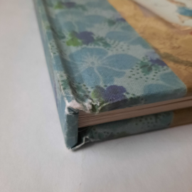 BP - ENG - Beatrix Potter: A Journal