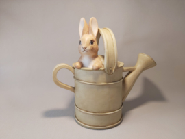 Overige Beatrix Potter artikelen