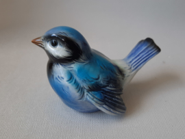 GV - CV73 Blue bird (1)