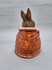 BP - Poorly Peter Rabbit (3b)
