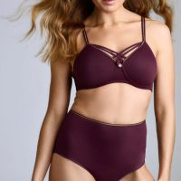 Dame de Paris Care Bra Aubergin Whisper