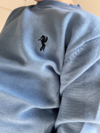 Sweater blue