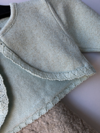 Vestje glitter groen