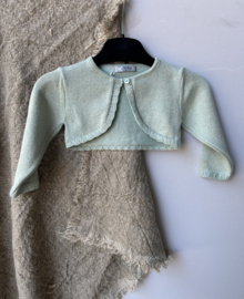 Vestje glitter groen